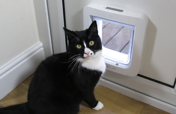 Miscota Sure Petcare Microchip White Tail Sureflap Nuovo