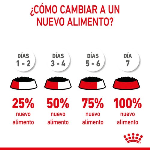 Miscota Pacco 12 Royal Canin Cibo Secco per Cani Starter Mousse Sconto