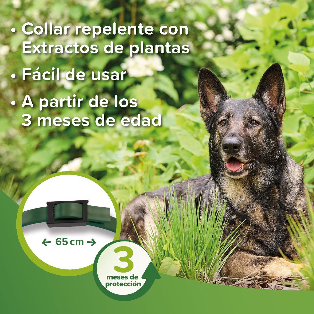 Miscota Beaphar Collare Bio Band con Neem per Cani Economico