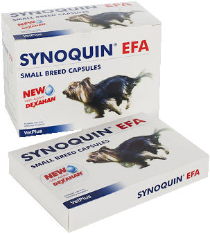 Miscota VetPlus Synoquin Joint Chondroprotector per Piccoli Cani Online