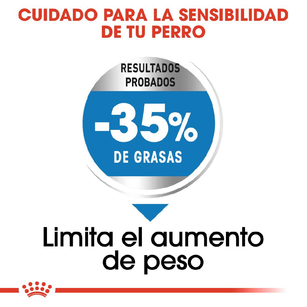 Miscota Royal Canin Maxi Light Weight Care per la gestione del peso in Plus Size Hotsell