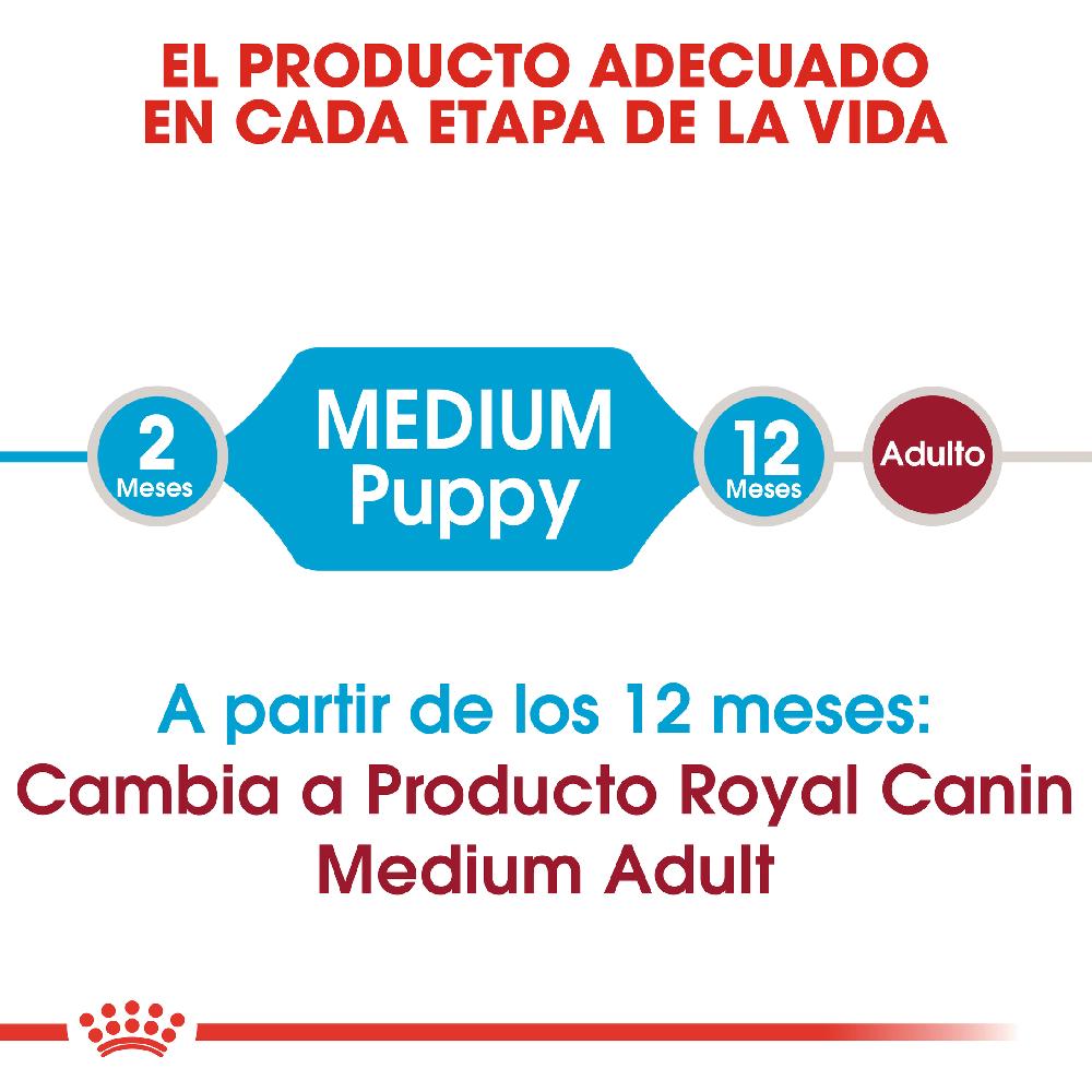 Miscota Royal Canin Medium Puppy Cibo per cuccioli di razza media Vendite Flash