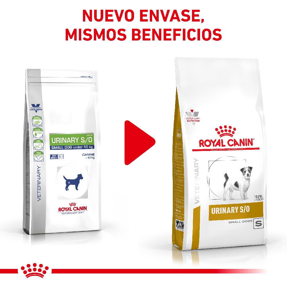 Miscota Royal Canin Cibo Secco per Cani Urinare S/O Small Dog Negozio