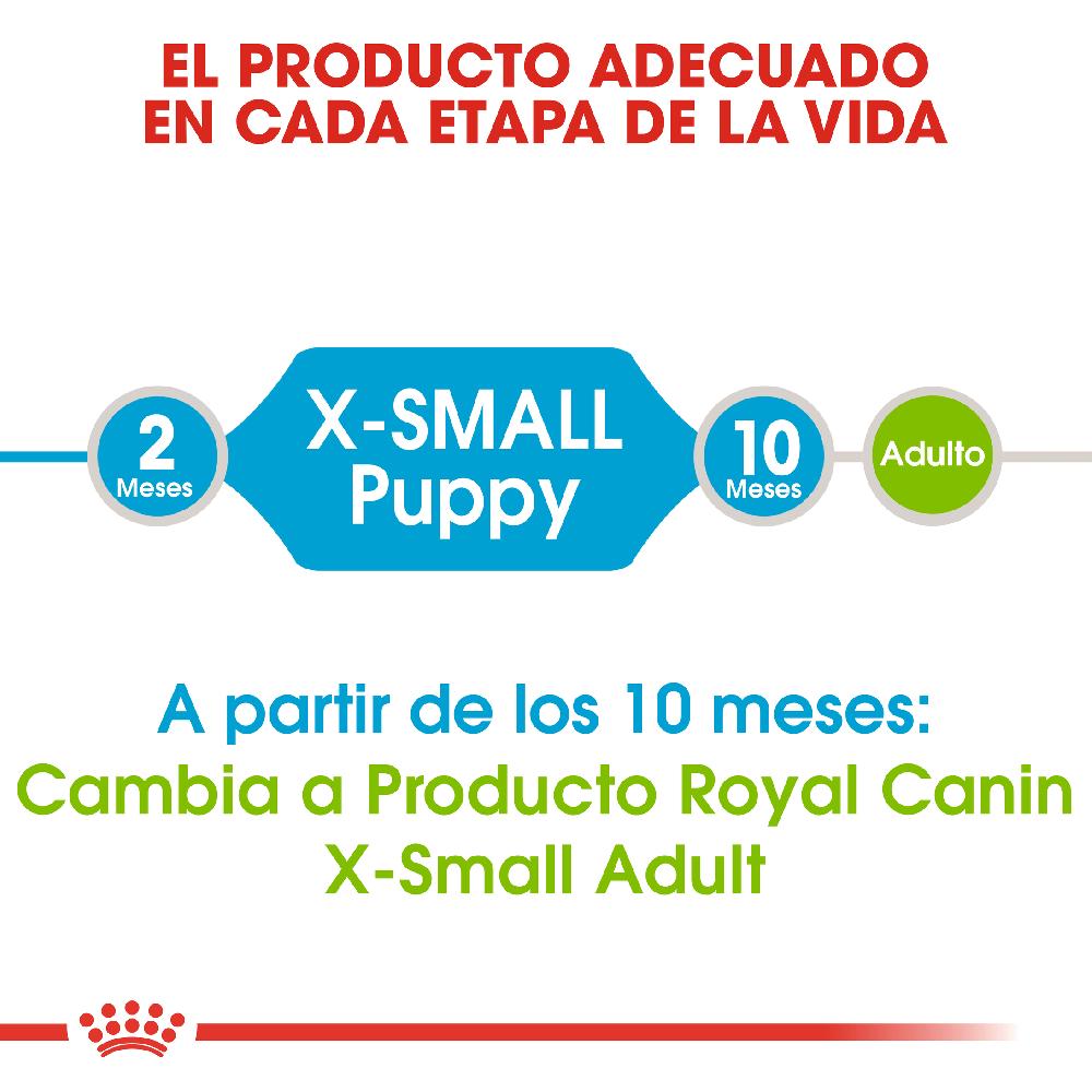 Miscota Royal Canin X-Small Puppy Cuccioli di razza miniatura In Saldo