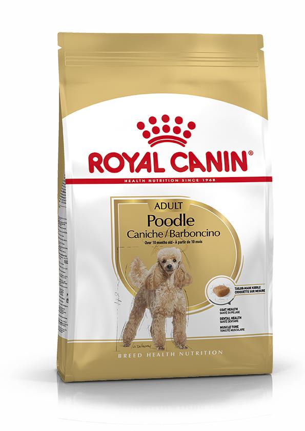 Miscota Royal Canin Poodle Adult Moda