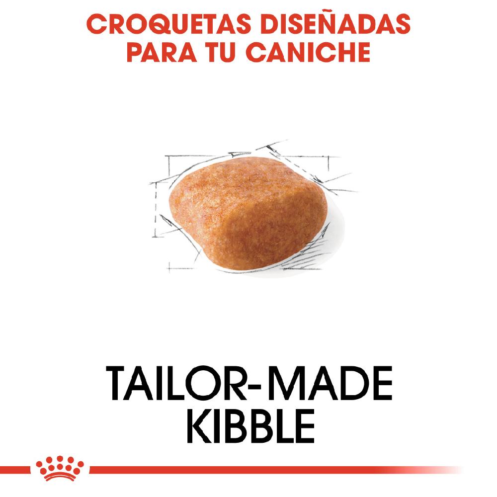 Miscota Royal Canin Poodle Adult Moda