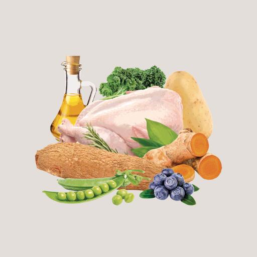 Miscota Traveness Ricetta di pollo naturale senza cereali per cani Italia