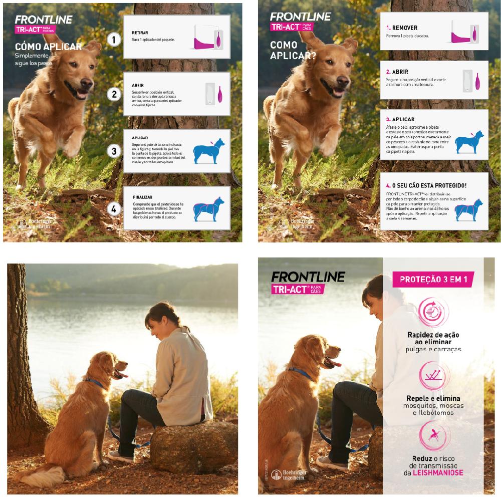 Miscota Frontline Pipette Tri Act per Cani di Taglia Piccola 5-10 Kg Qualità