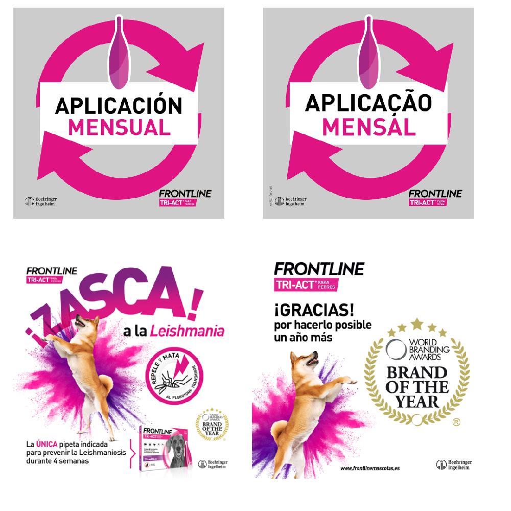 Miscota Frontline Pipette Tri Act per Cani di Taglia Piccola 5-10 Kg Qualità