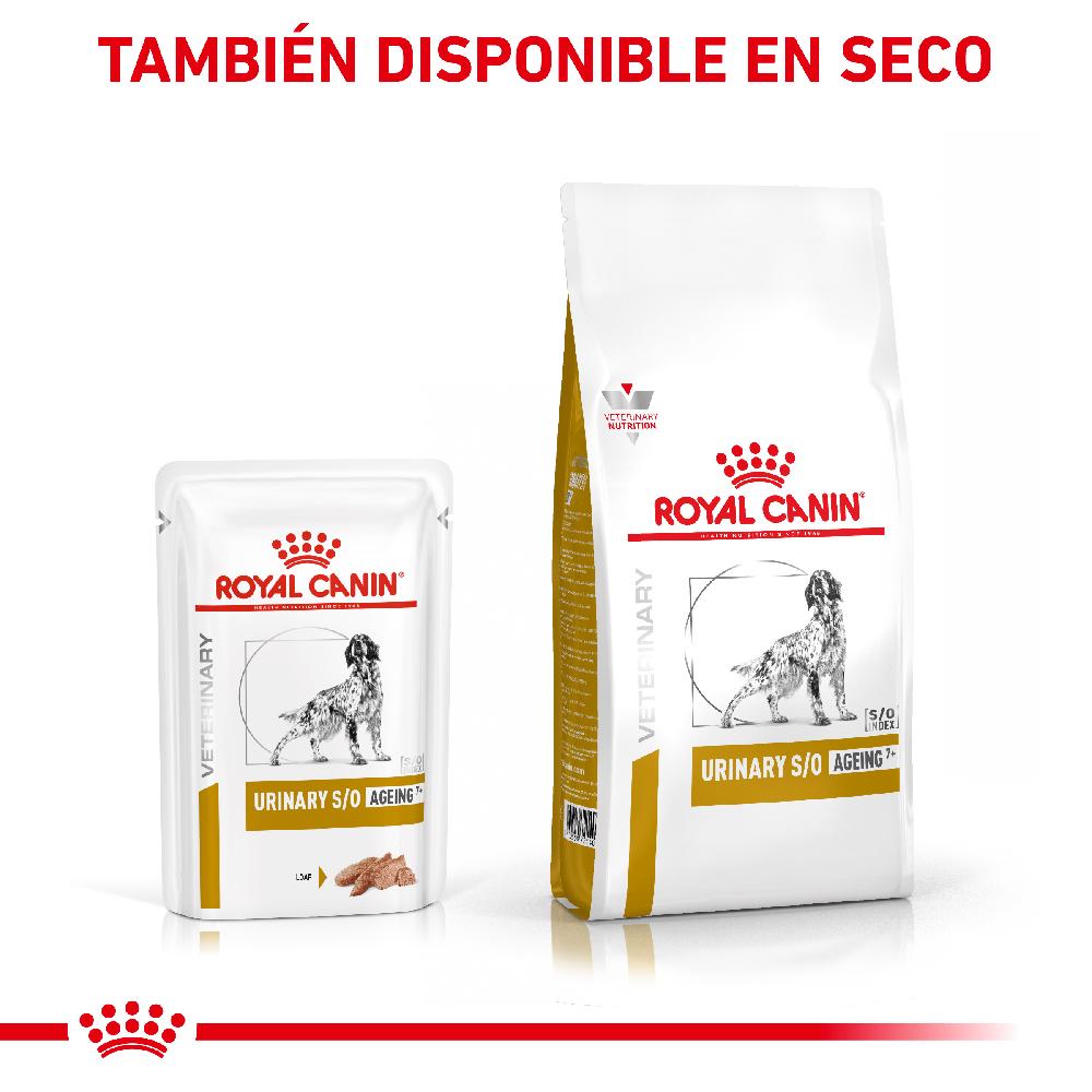 Miscota Royal Canin Vhn Dog Urinary Ageing+7 Pezzi Unici