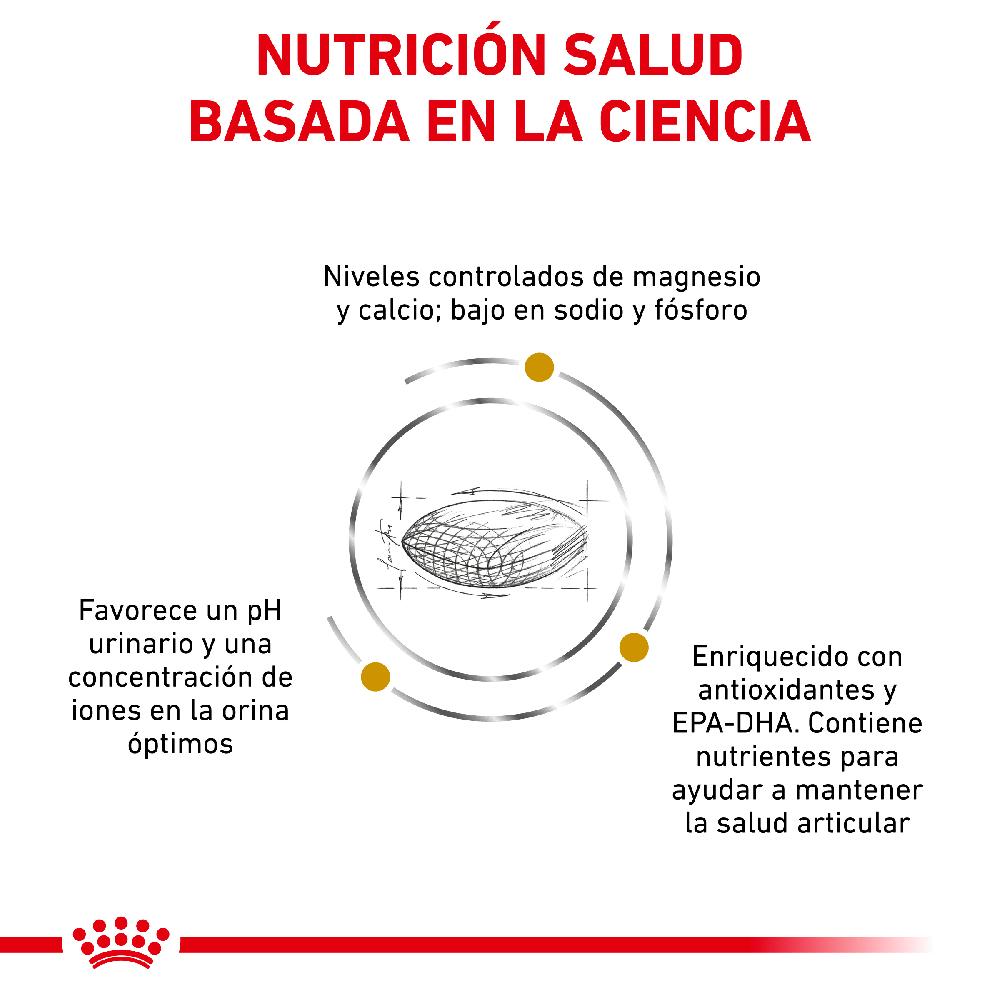 Miscota Royal Canin Vhn Dog Urinary Ageing+7 Pezzi Unici