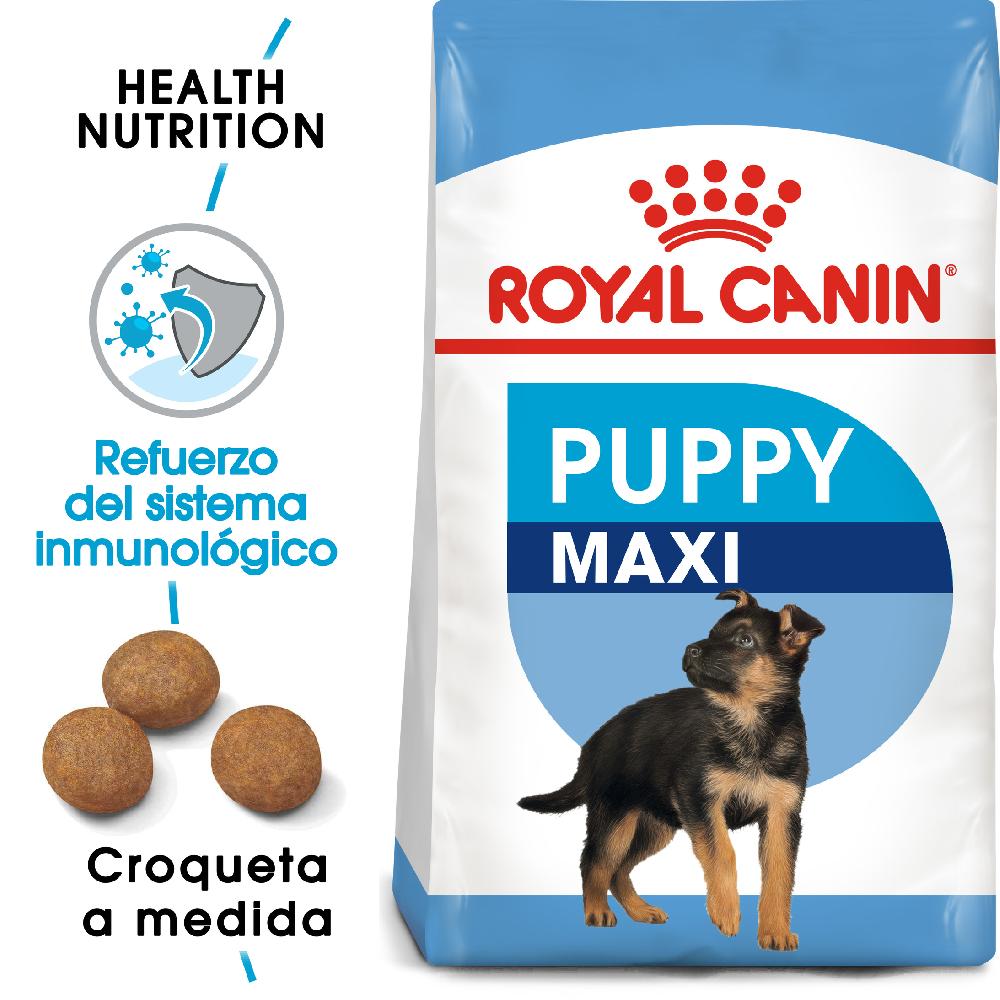 Miscota Royal Canin Maxi Puppy Cibo per cuccioli di razza grande