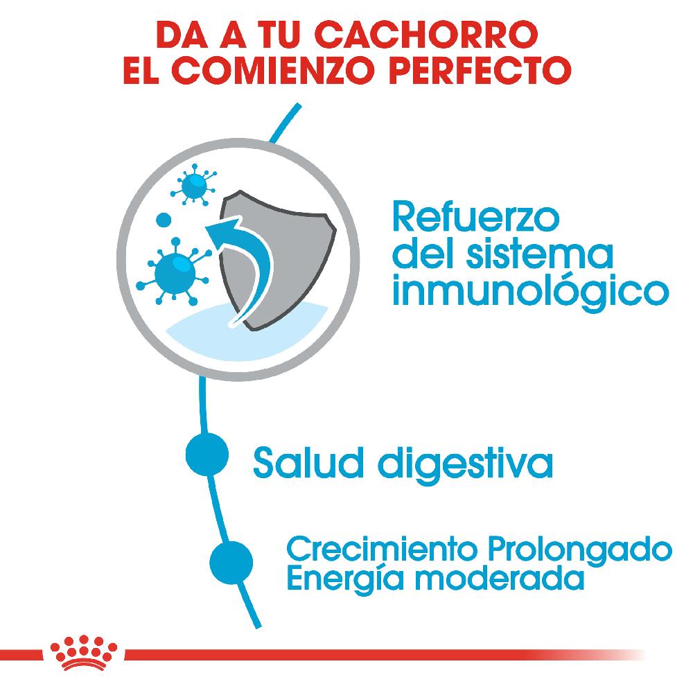 Miscota Royal Canin Maxi Puppy Cibo per cuccioli di razza grande Offerta