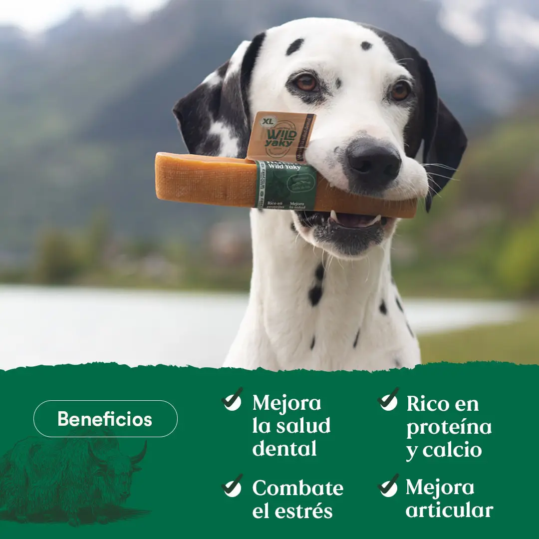 Miscota Wild Balance yak naturale del latte biter dell'Himalaya per Cani Saldi