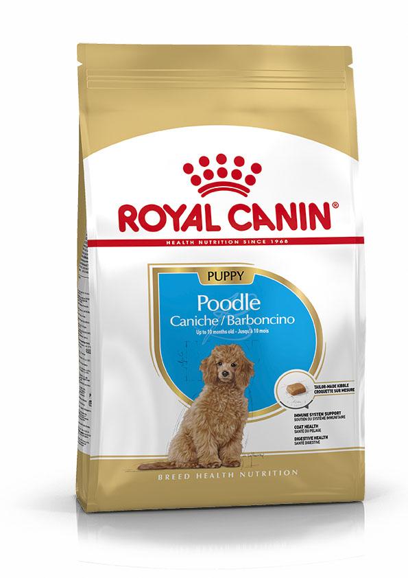 Miscota Royal Canin Poodle Puppy Italy