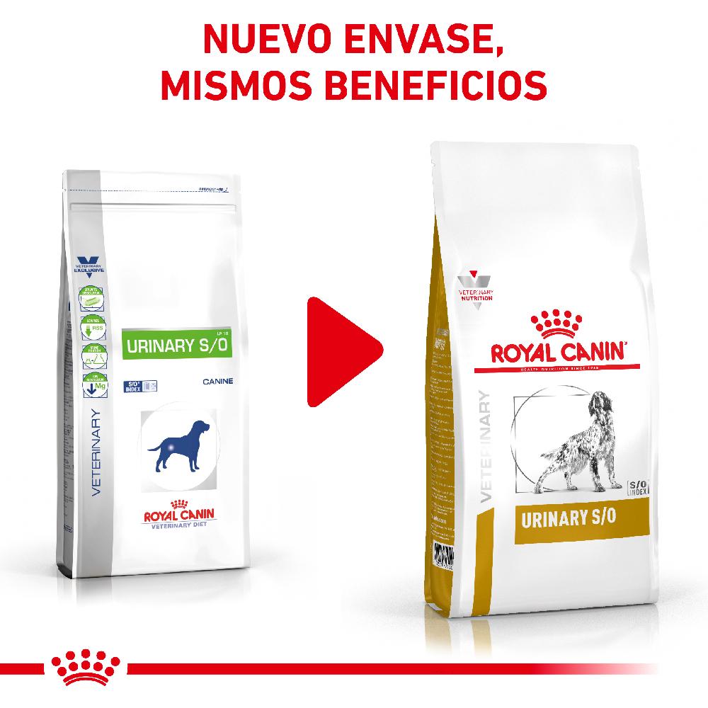 Miscota Royal Canin Cibo Secco per Cani Urinare S/O Canine Shopping Online