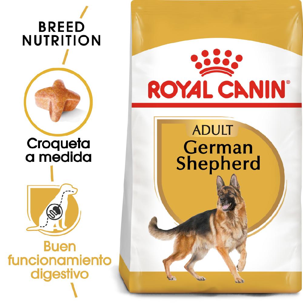 Miscota Royal Canin German Shepherd Adult Cibo per cani Adulti Pastore Tedesco