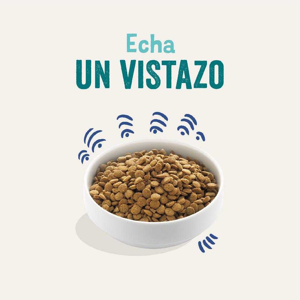 Miscota Edgard & Cooper Adult Senza Cereali Con Salmone Fresco Offerta