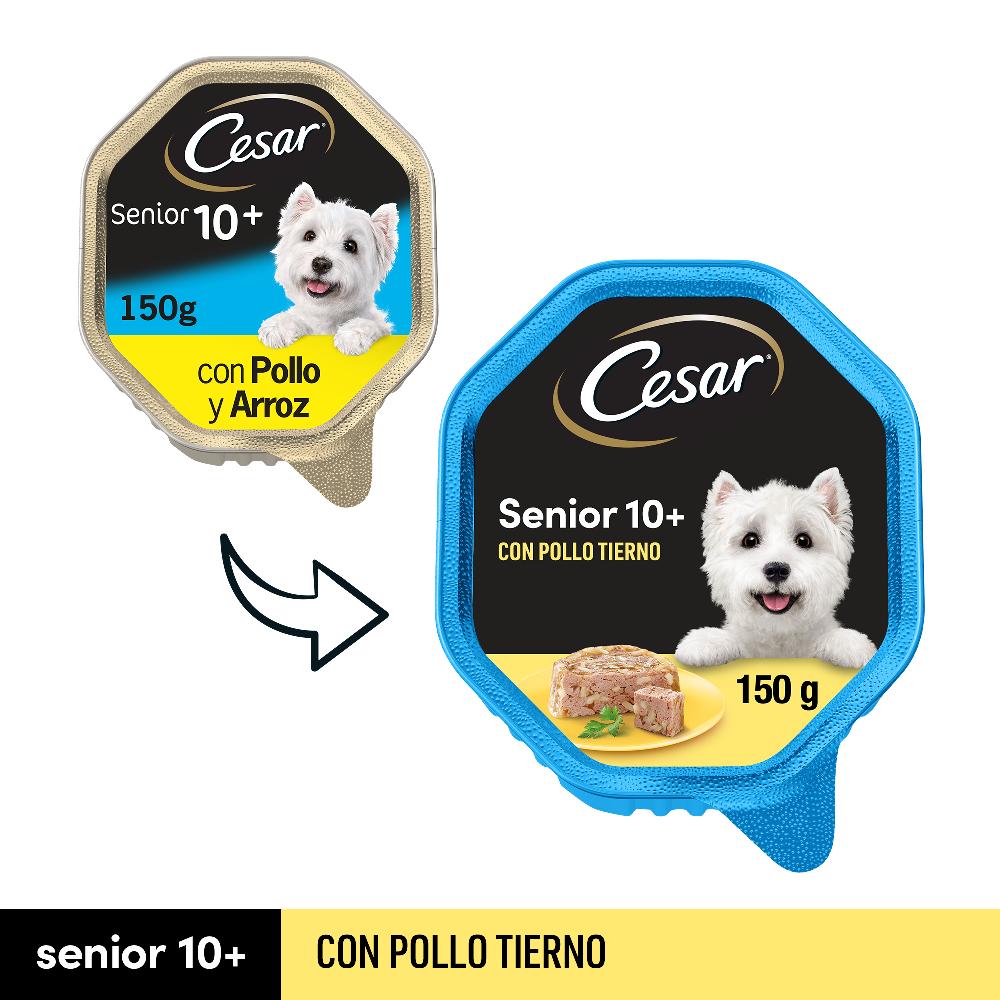 Miscota Cesar Cibo umido per cani anziani in patè con pollo e vasca di riso Economico