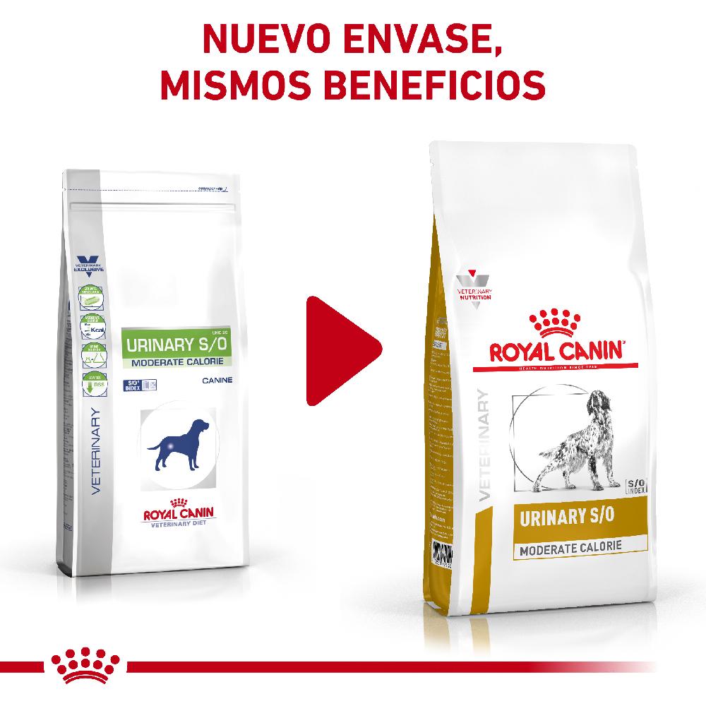Miscota Royal Canin Cibo Secco per Cani Urinare S/O Moderate Calorie Canine Vendita Economica
