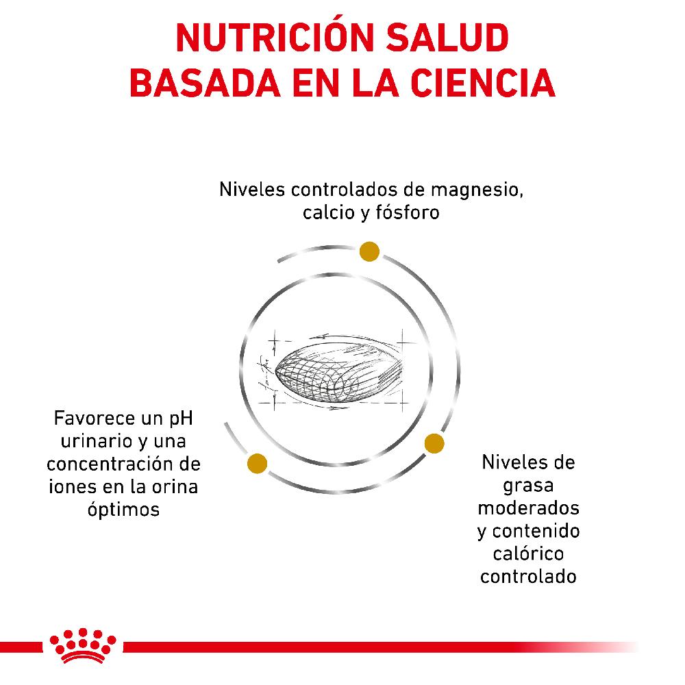 Miscota Royal Canin Cibo Secco per Cani Urinare S/O Moderate Calorie Canine Vendita Economica