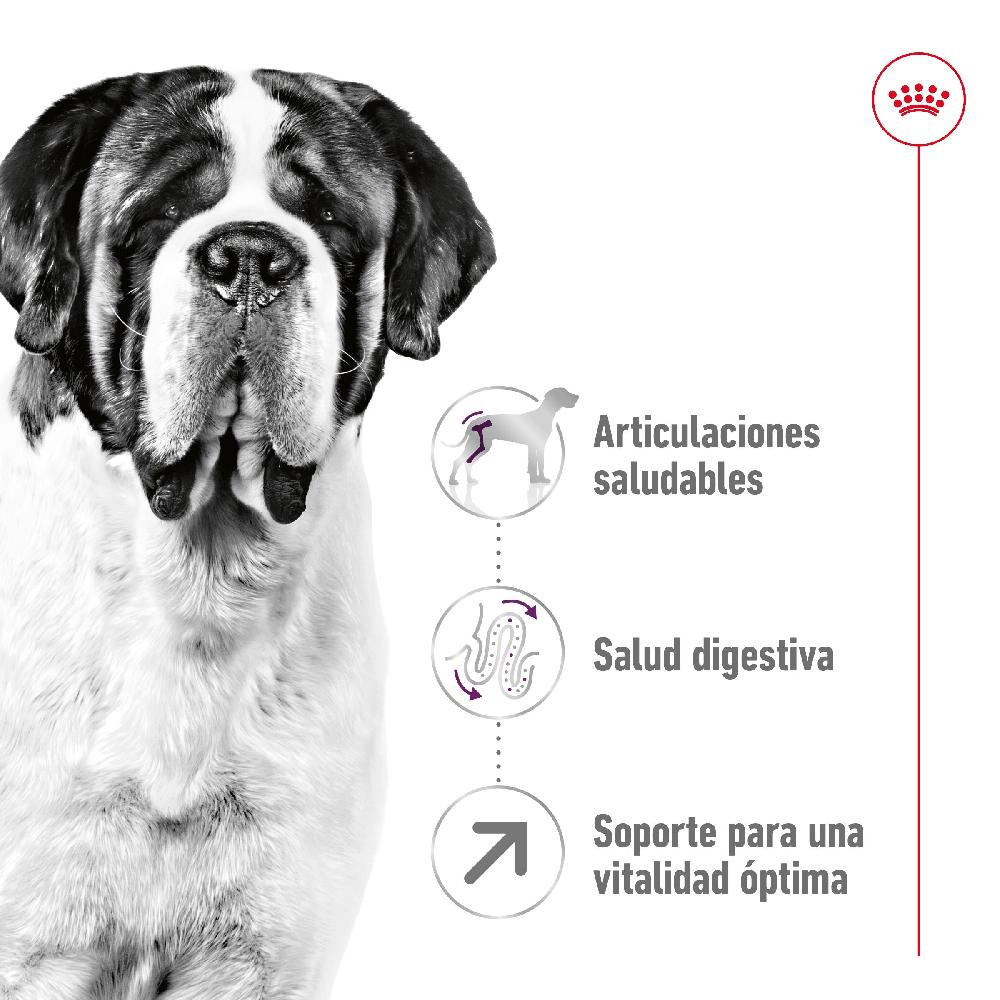 Miscota Royal Canin Cibo Secco per Cani Giant Adult Saldi Di Fabbrica