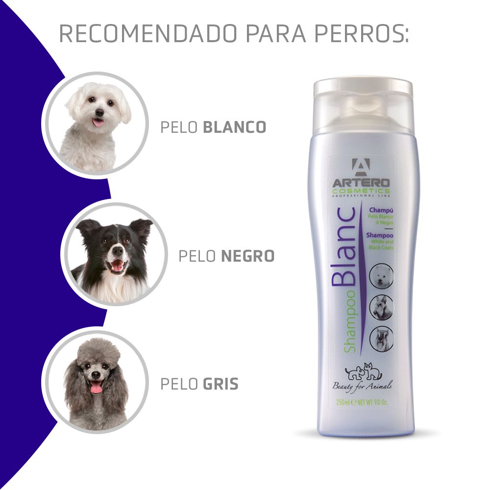 Miscota Artero Shampoo Blanc I Più Venduti