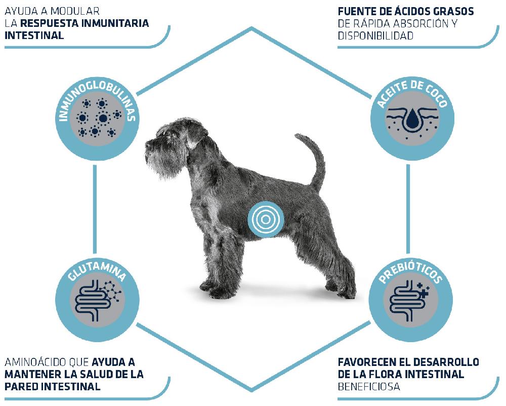 Miscota Advance Cibo Secco Veterinare Diet Gastroenteric Low Fat per Cani Qualità