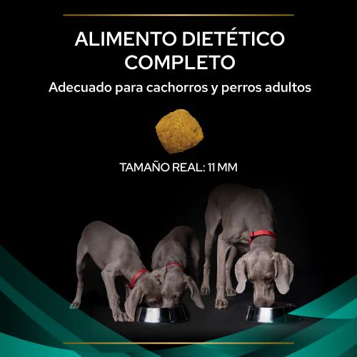 Miscota Pro Plan Veterinary Diets EN Gastrointestinal Pezzi Unici