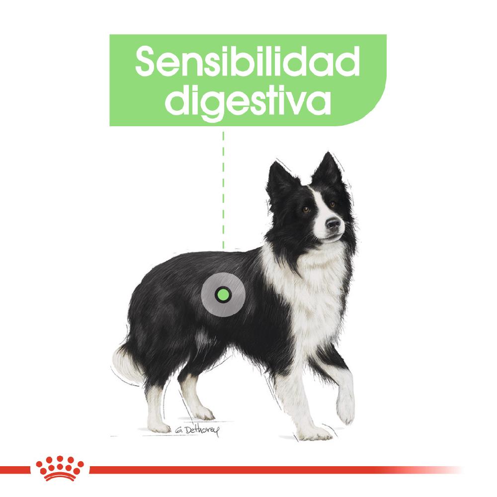 Miscota Royal Canin Medium Digestive adulti con sensibilità digestiva Promozione