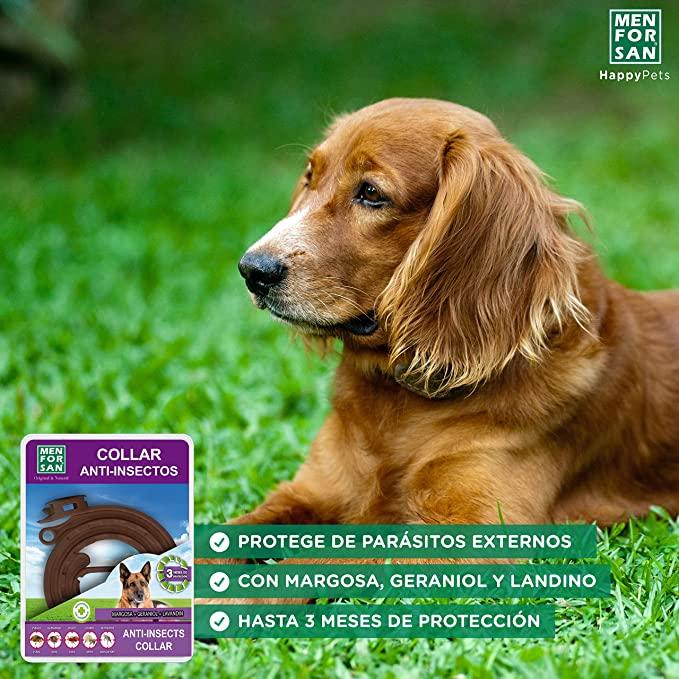 Miscota Men For San Collare Repellente Naturale Pezzi Unici