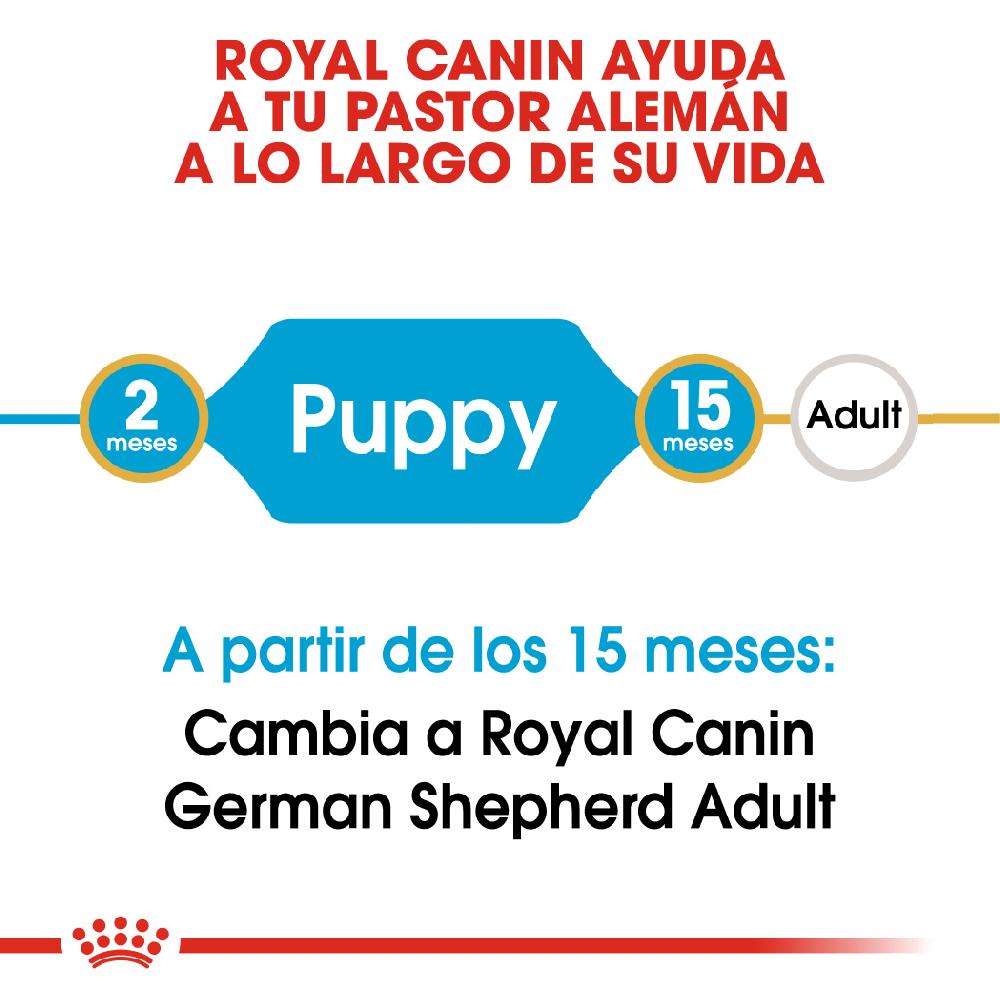 Miscota Royal Canin Cibo Secco per Cani Pastore Tedesco Junior Sconto