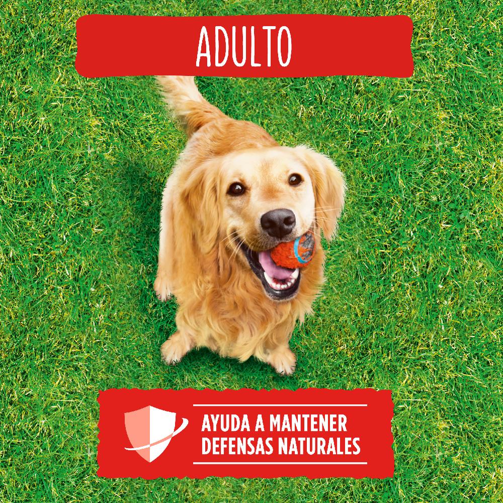 Miscota Purina Friskies Cibo Secco per Cani Adult di Carne e Ortaggi Online