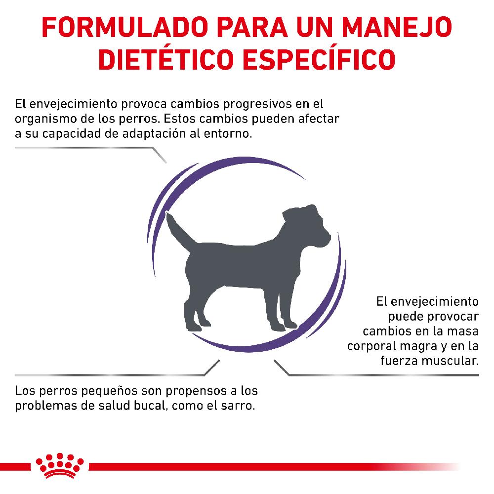 Miscota Royal Canin Cibo Secco per Cani Senior Consult Mature Small Dog Outlet