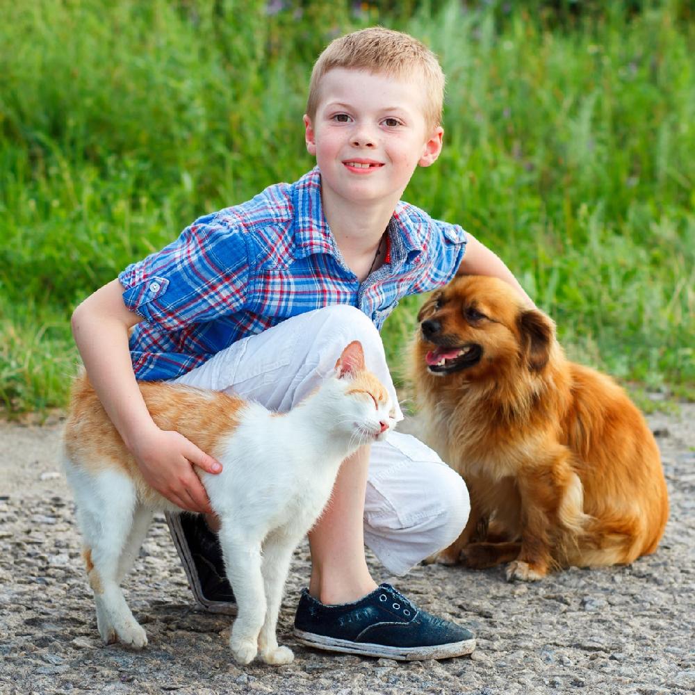 Miscota JTPharma Vitamina C Per Cani Gatti Ed Esotici Vendite Flash