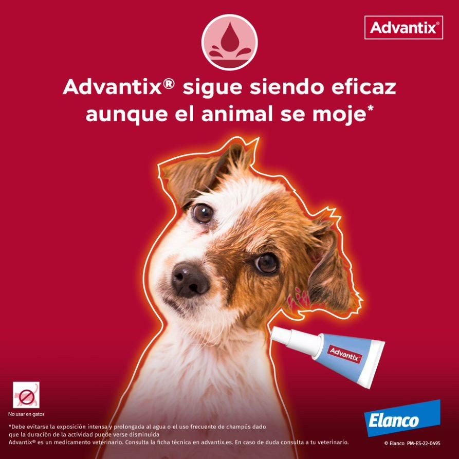 Miscota Advantix Pipetta Taglia Media 10-25 Kg Italia
