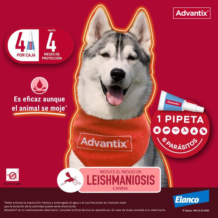 Miscota Advantix Pipetta Taglia Media 10-25 Kg Italia