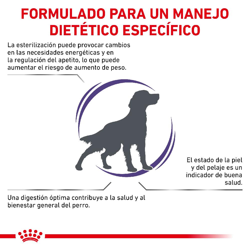 Miscota Royal Canin Cibo Secco per Cani Neutered Adult Medium Dog 2025