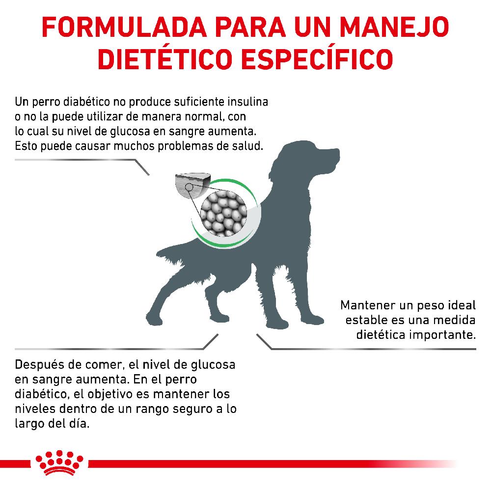 Miscota Royal Canin Cibo Secco per Cani Diabetic In Linea