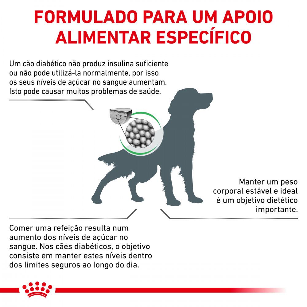 Miscota Royal Canin Cibo Secco per Cani Diabetic In Linea
