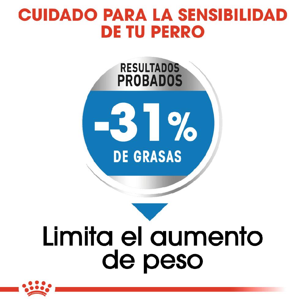 Miscota Royal Canin Mini Light Weight Care controllo del peso degli adulti Taglia piccola Vendita