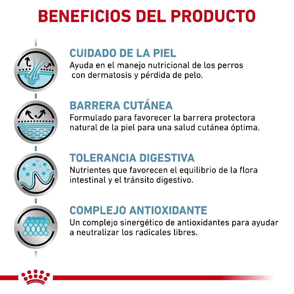 Miscota Royal Canin Cibo Secco per Cani Skin Care Canine Adult Promozione