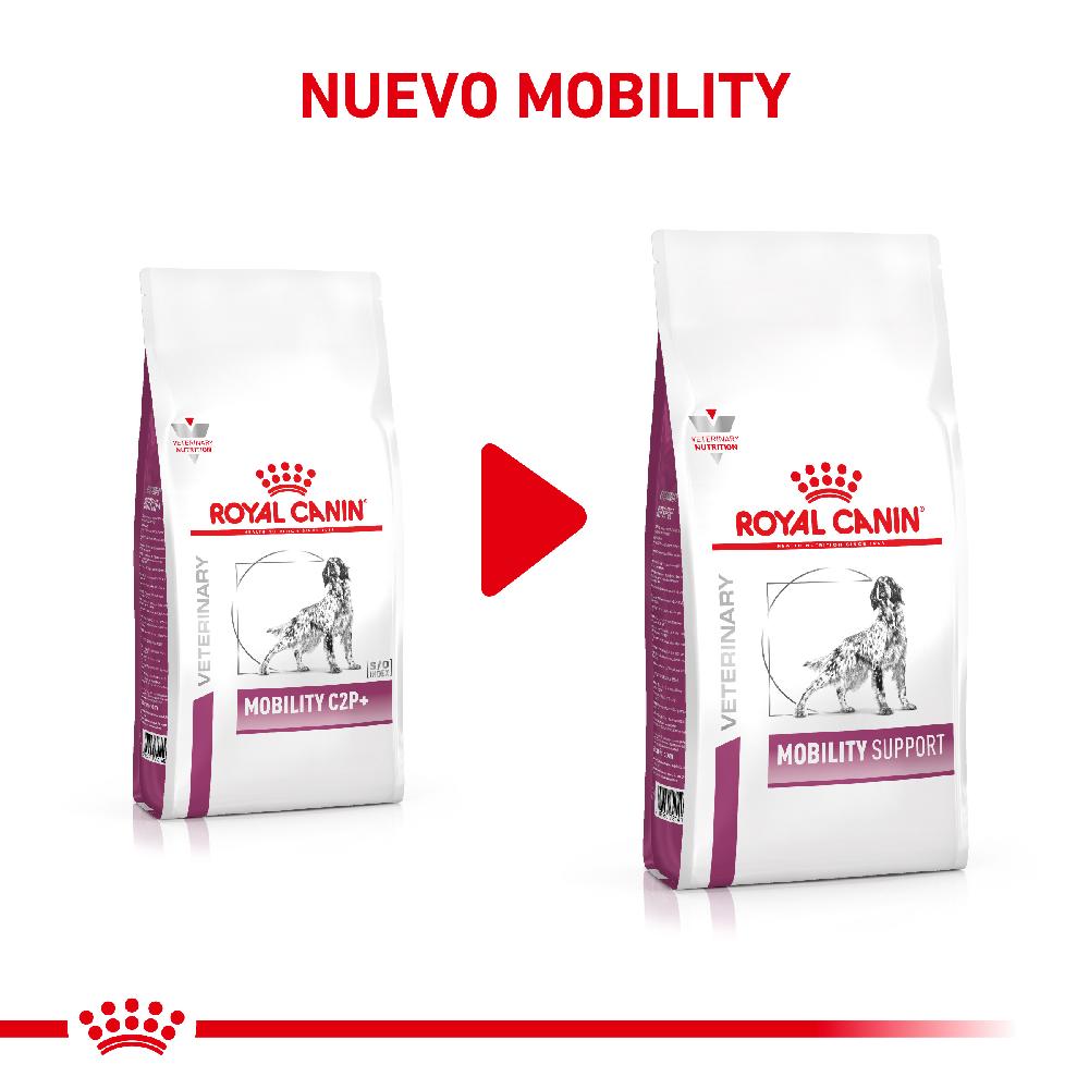 Miscota Royal Canin Cibo Secco per Cani Mobilite C2p+ Canine Spedizione Gratuita