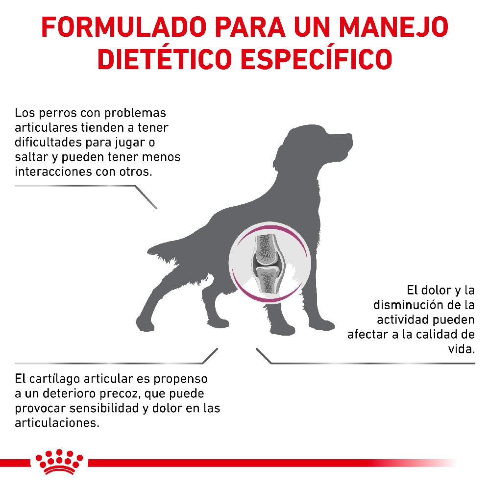 Miscota Royal Canin Cibo Secco per Cani Mobilite C2p+ Canine Spedizione Gratuita