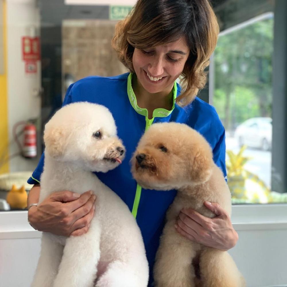 Miscota Artero Balsamo per Cani Flash Nuova