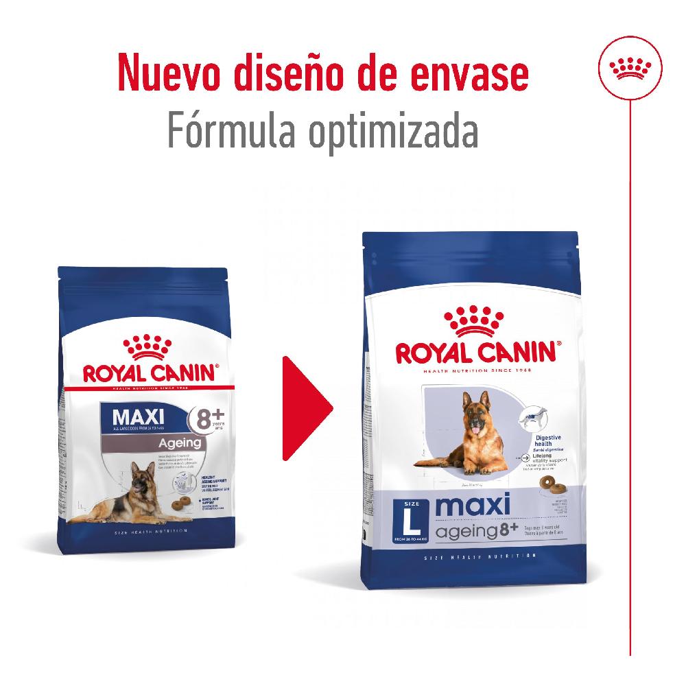 Miscota Royal Canin Maxi Ageing+8 Cibo per cani grandi anziani per cani anziani Ultimi due giorni