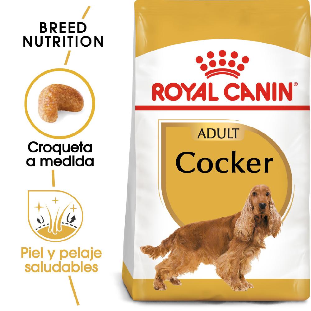 Miscota Royal Canin Cibo Secco per Cani Cocker Adult