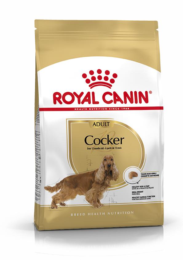 Miscota Royal Canin Cibo Secco per Cani Cocker Adult 2025