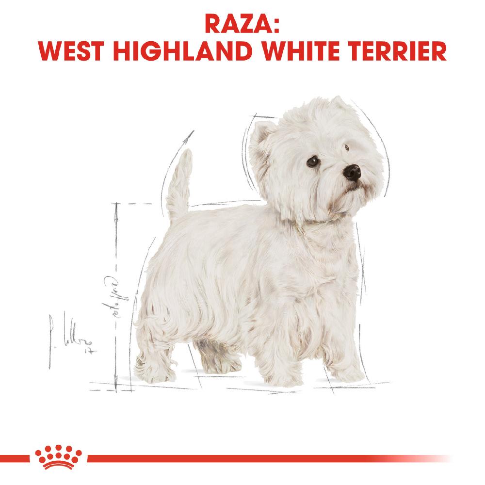 Miscota Royal Canin Cibo Secco per Cani West Highland Terrier Adult Italy