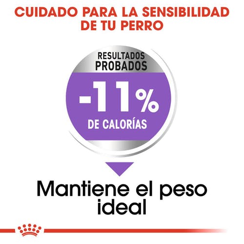 Miscota Royal Canin Cibo Secco per Cani X Small Sterilised Italia
